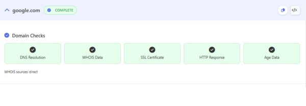 Domain Age Checker