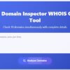 Domain Age Checker