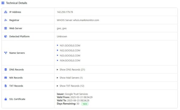 Bulk Domain Age Checker - Advanced with Reports